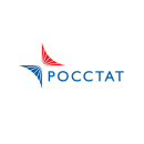 За 2014 год россияне совершили 43 миллиона поездок